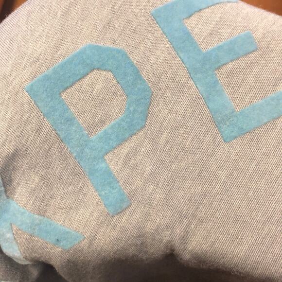 Wildfox Blue and Gray Heathered “I’m An Expert” Graphic Tee Shirt Size Medium - Picture 5 of 6